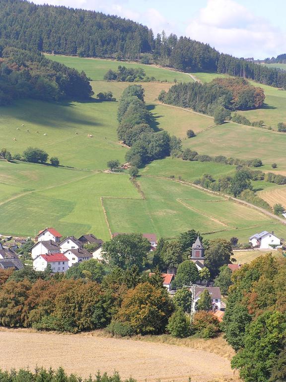 Apartment Preising Willingen Kültér fotó